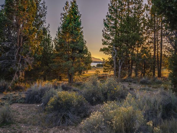 Yosemite Area Home 1029170