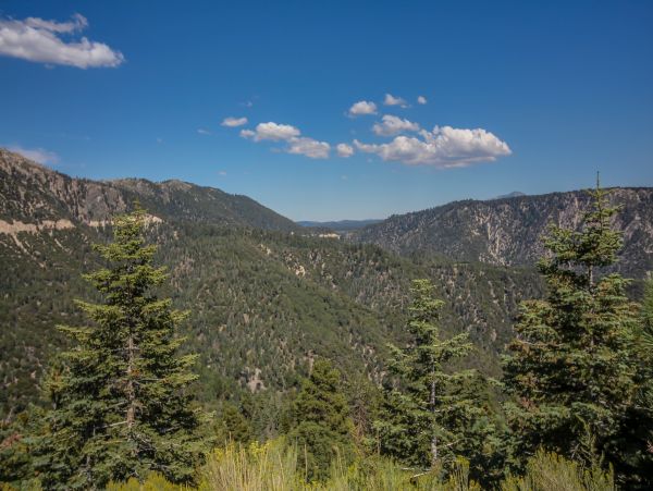 Yosemite Area Home 1029170
