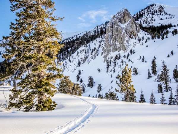 Yosemite Area Home 1029171