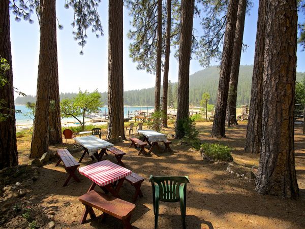 Yosemite Area Home 1029179