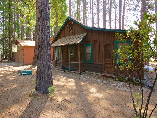 Yosemite Area Home 1029179