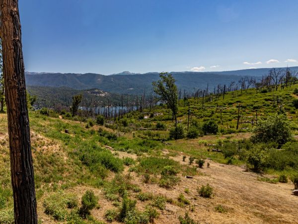 Yosemite Area Home 1029189