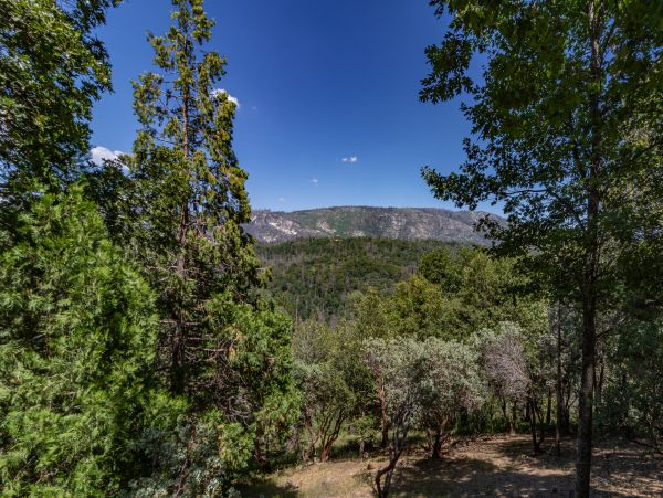 Yosemite Area Home 1029190
