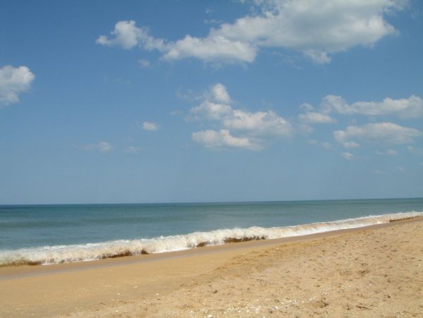 Gulf View Palm Coat Vacation Home Walk to Beach