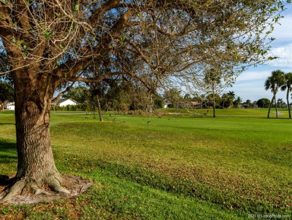 Cape Coral Home 1029245
