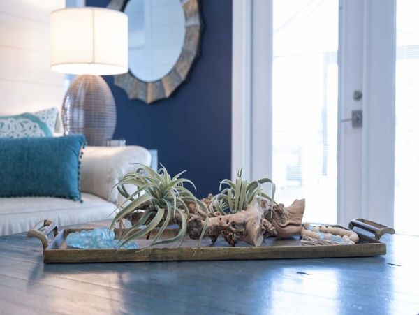 Cape Coral Home 1029264