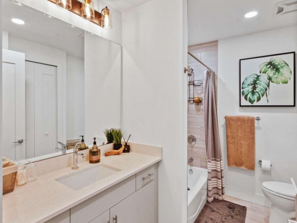 Sarasota Condo 1029273