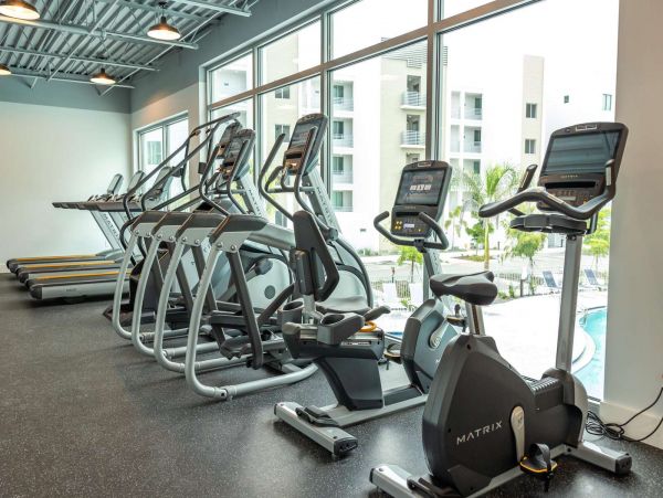 Sarasota Condo 1029273
