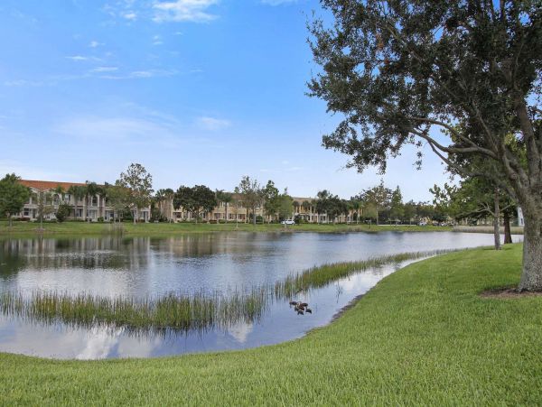 Sarasota Home 1029274