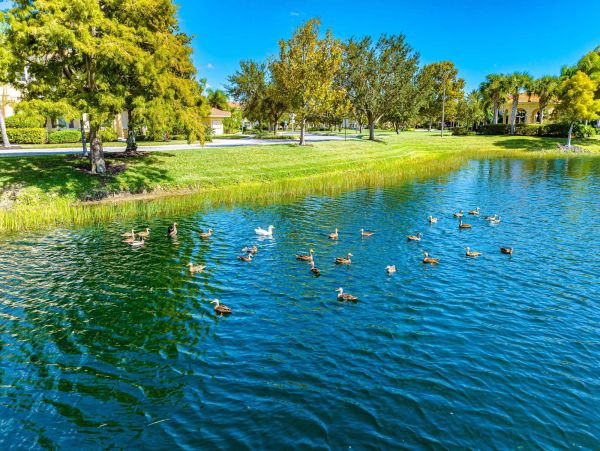 Charming Townhouse in Sarasota- Your Perfect Getaway