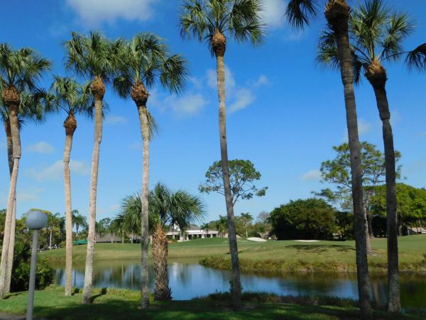 Sarasota Condo 1029282