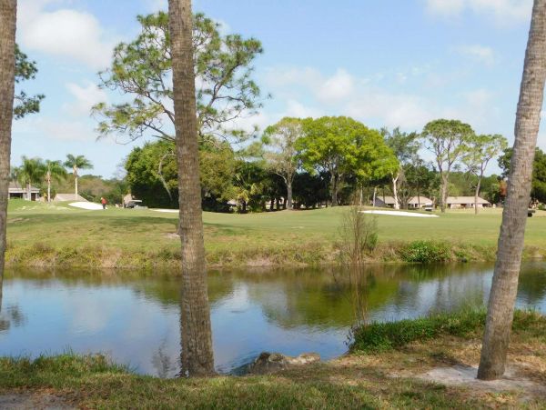 Sarasota Condo 1029282