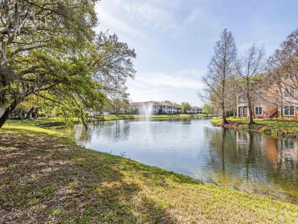 Sarasota Condo 1029283
