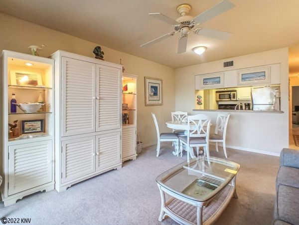 Fort Myers Condo 1029285