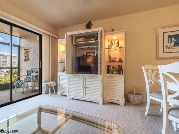 Fort Myers Condo 1029285