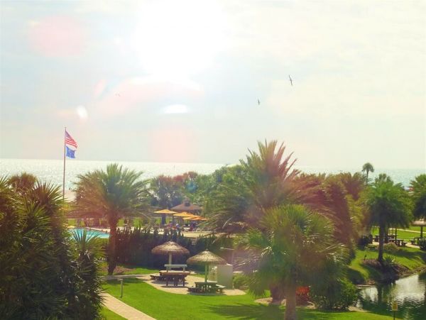 Siesta Key Condo 1029297