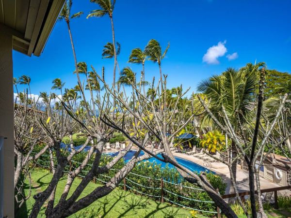 Lovely Vacation Condo in Napili Close to Beach Sleeps 5 Guests