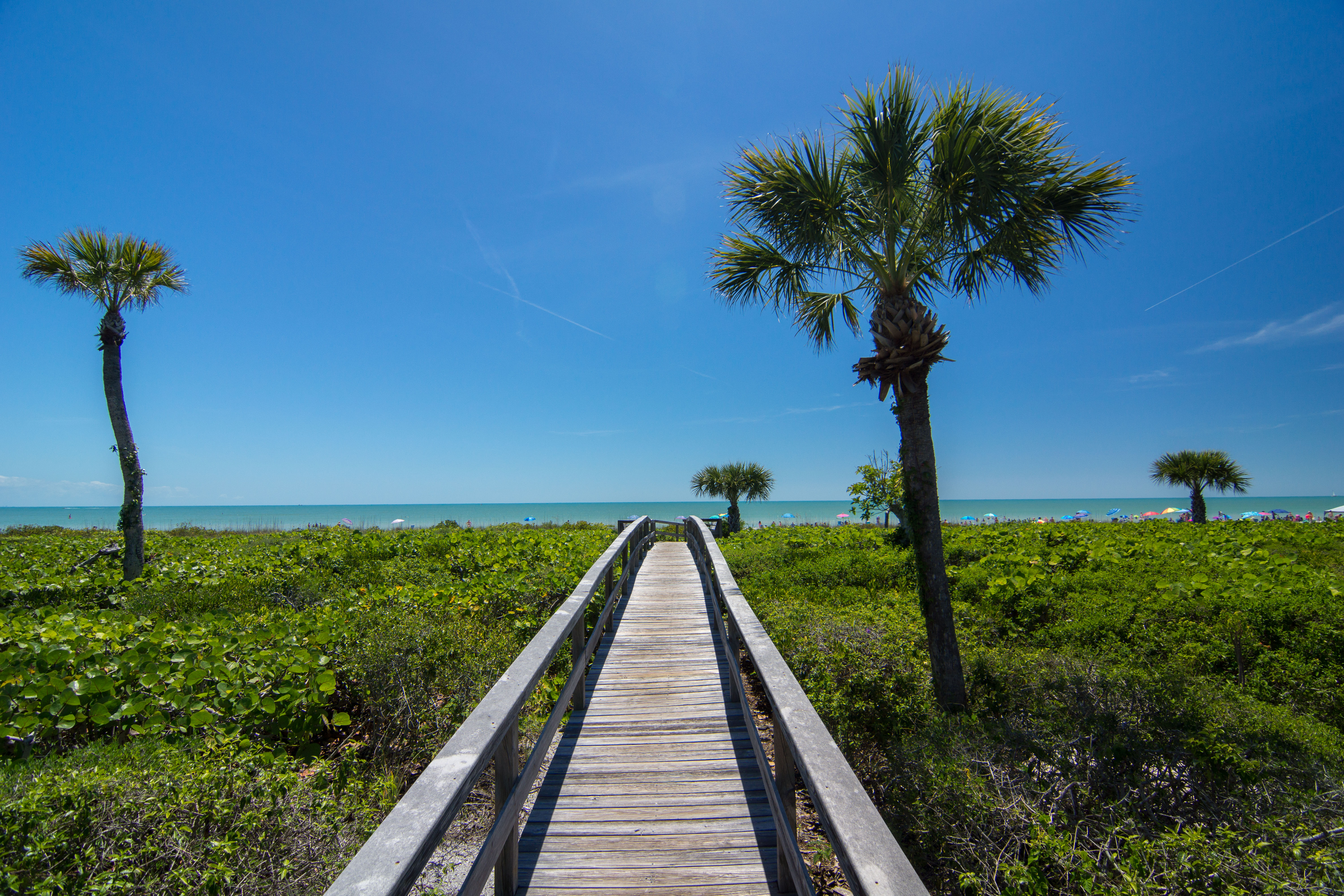 First Class Beachfront Condominium with Sweeping Views of the Gulf of Mexico