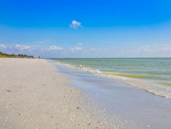Walk to Beach Sanibel Vacation Pool Home Three Bedroom