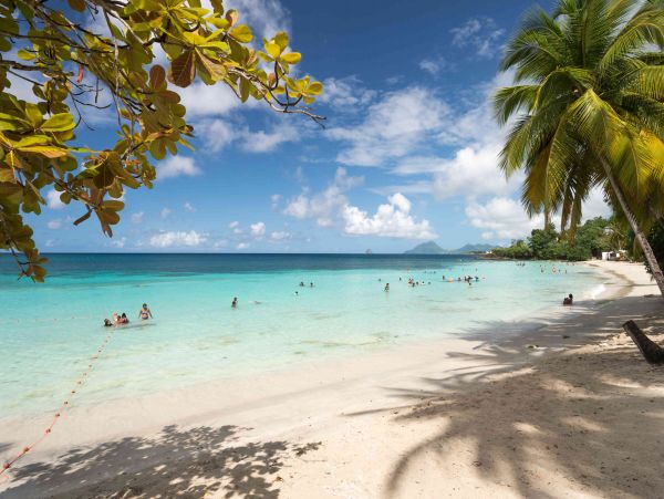 Luxury Villa Rental in Martinique - Beachfront Villa in Le Diamant