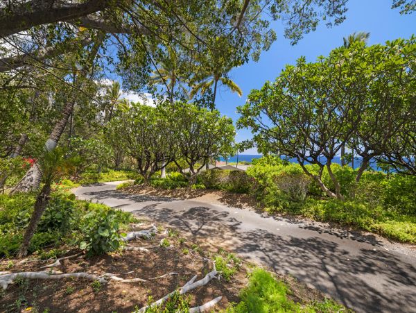 Luxury Four Bedroom Home with Ocean Views, Private Pool & Spa
