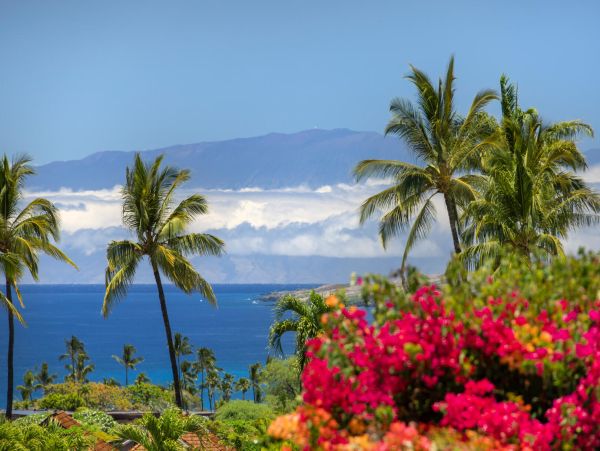 Luxury Four Bedroom Home with Ocean Views, Private Pool & Spa