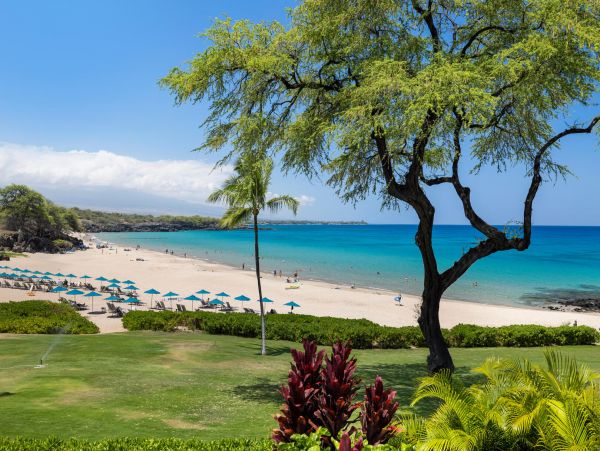 New Luxury Beach Condo on Big Island