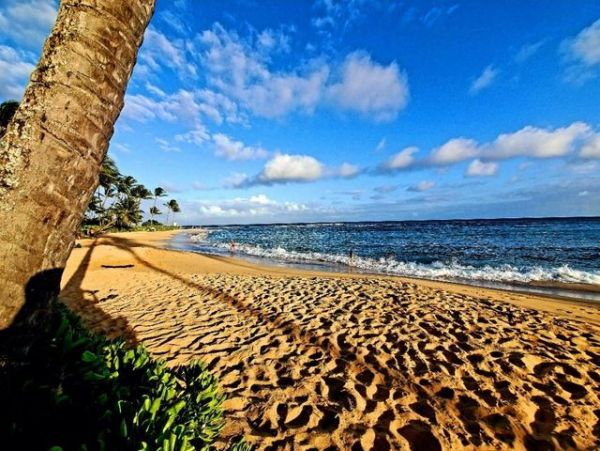 Koloa Three Bedroom Golf Course View Vacation Condo Sleeps 8