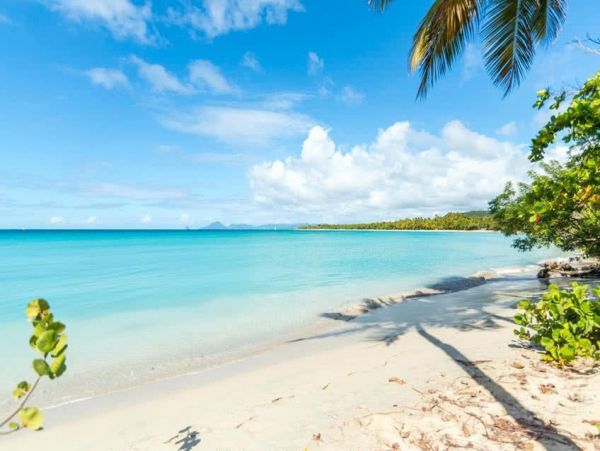 Luxury Vacation Villa in Martinique with Amazing Ocean Views Sleeps 14
