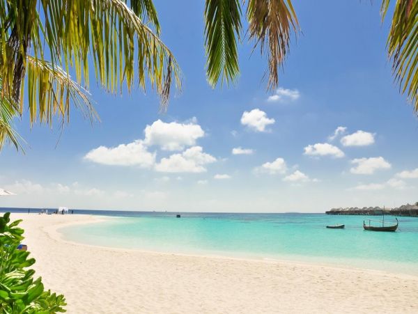 Beachside Luxury Four Bedroom Vacation Condo in Playa del Carmen