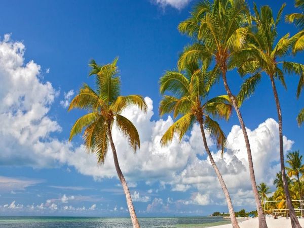 Key West Five Bedroom Vacation Rental Home with Private Pool