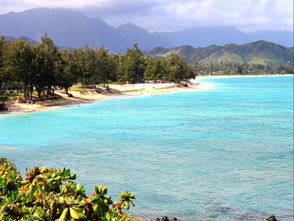 Kailua Kona Vacation Condo Three Bedroom Walk to Beach