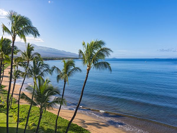 Ground Floor Studio with Beautiful Beaches & Great Outdoor Activities