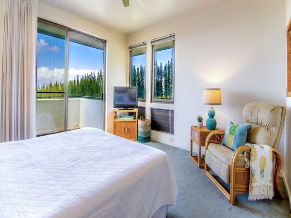 Charming Vacation Beach Condo in Kapalua Sleeps 4