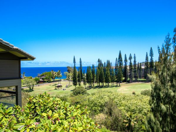 Kapalua Vacation Condo One Bedroom