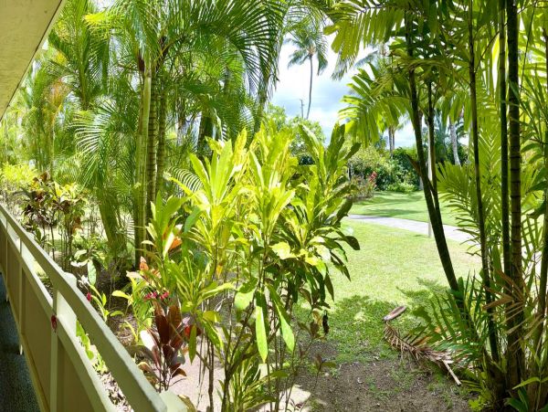 One Bedroom Charming Vacation Condo in Kapa'a Walk to Beach