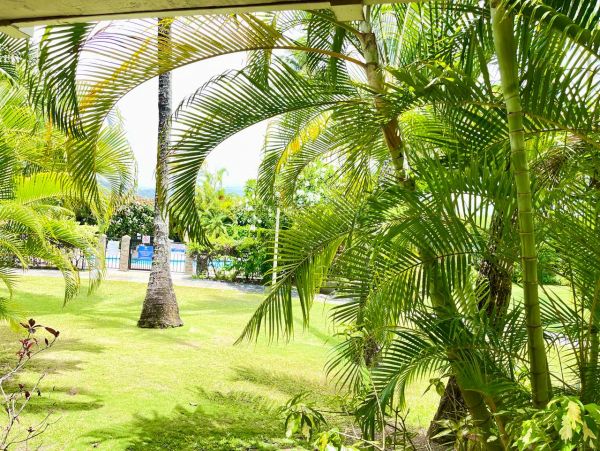 One Bedroom Charming Vacation Condo in Kapa'a Walk to Beach
