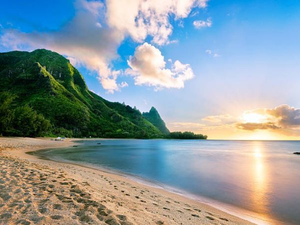One Bedroom Charming Vacation Condo in Kapa'a Walk to Beach