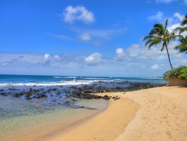 One Bedroom Charming Vacation Condo in Kapa'a Walk to Beach