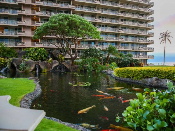 Oceanfront Kaanapali Vacation Condo One Bedroom