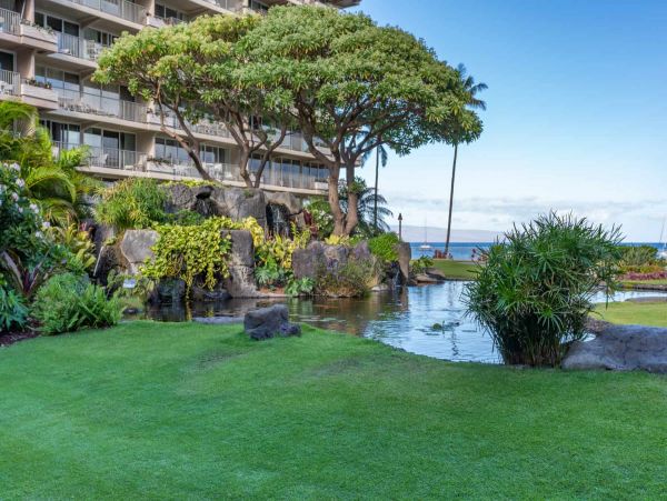 Oceanfront Kaanapali Vacation Condo One Bedroom