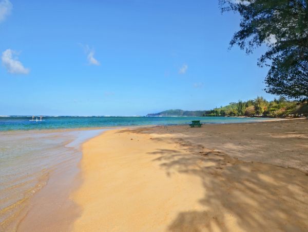 Lovely 3 Bedroom Vacation Rental in Hanalei Walk to Beach