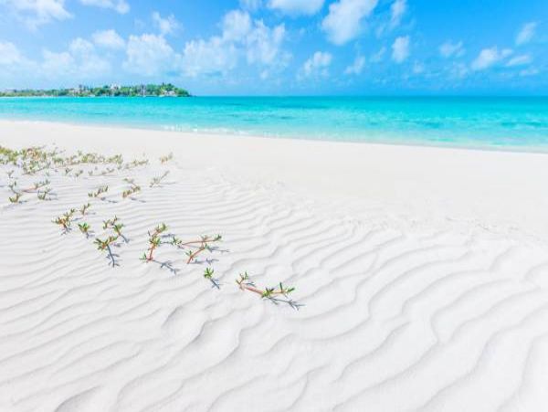 Luxury Four Bedroom Vacation Pool Villa in Turks and Caicos