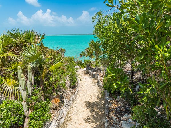 Turks and Caicos Vacation Pool Home Four Bedroom Oceanfront