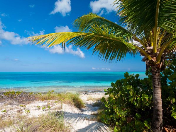 Oceanfront Vacation Pool Home Four Bedroom in Turks and Caicos