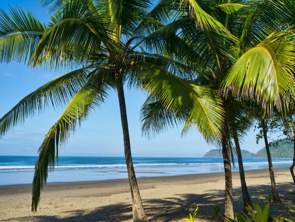 A 13 Bedroom Beachfront Paradise Awaits in Jaco, Costa Rica