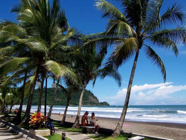 Luxury Beachfront Mansion with 13 Bedrooms Sleeps 20