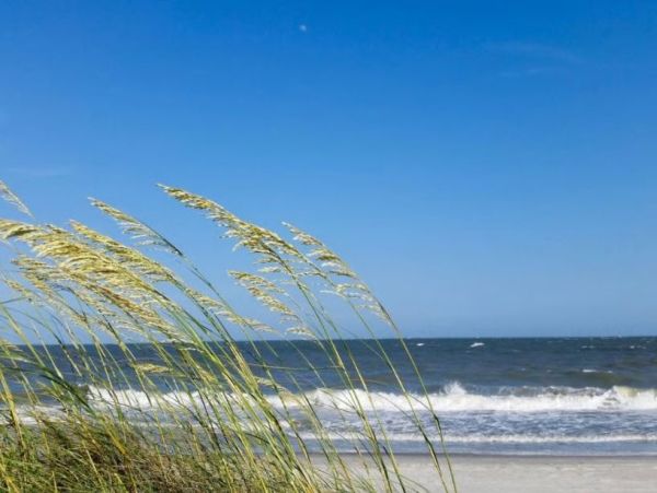 Hilton Head Luxury Vacation Rental 7-Bed North Forest Beach Home with Pool & Spa