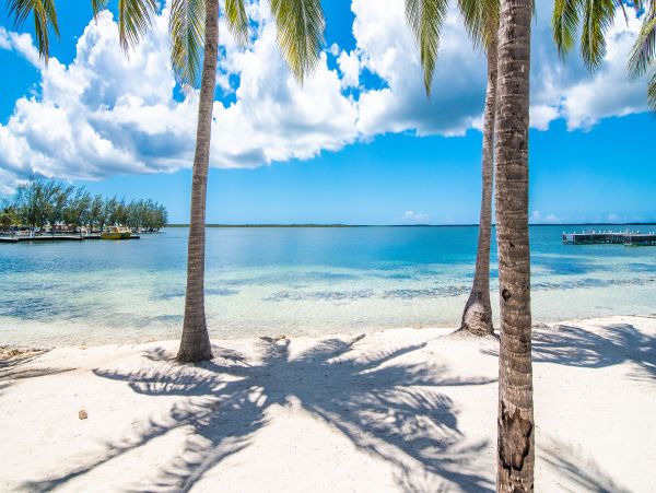 Beachfront Lovely 2 Bedroom Grand Cayman Villa