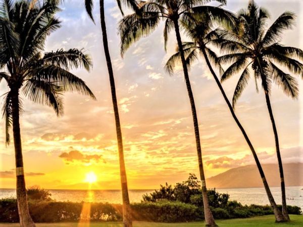 Two Bedroom Ocean View Rental Condo in Kahana